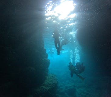 沖縄マリンサービス碧に投稿された画像（2024/7/3）