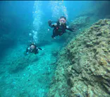 武藤潜水に投稿された画像（2024/7/3）