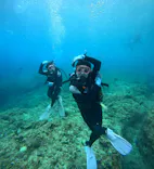 武藤潜水に投稿された画像（2024/7/3）