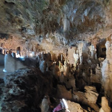 石垣島鍾乳洞に投稿された画像（2024/7/3）