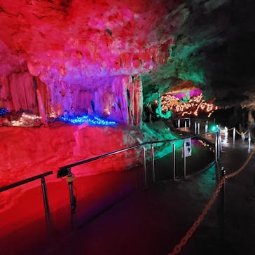 石垣島鍾乳洞に投稿された画像（2024/7/3）