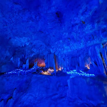 石垣島鍾乳洞に投稿された画像（2024/7/3）