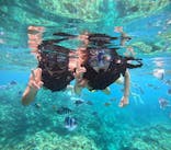 マリンクラブジジに投稿された画像（2024/7/3）