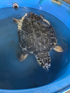 南知多ビーチランド＆南知多おもちゃ王国に投稿された画像（2024/7/3）