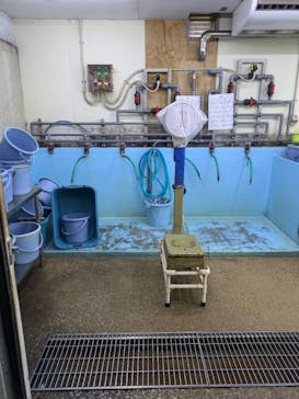 南知多ビーチランド＆南知多おもちゃ王国に投稿された画像（2024/7/3）