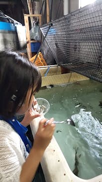 アクアマリンふくしまに投稿された画像（2024/7/3）