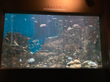 世界淡水魚園水族館　アクア・トトぎふに投稿された画像（2024/7/3）