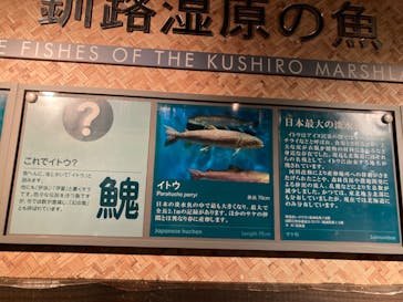 世界淡水魚園水族館　アクア・トトぎふに投稿された画像（2024/7/3）