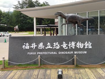 福井県立恐竜博物館に投稿された画像（2024/7/3）