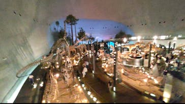 福井県立恐竜博物館に投稿された画像（2024/7/3）