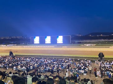 府中市制施行７０周年記念　ＴＯＫＹＯ　シティポップ　花火　２０２４に投稿された画像（2024/7/3）