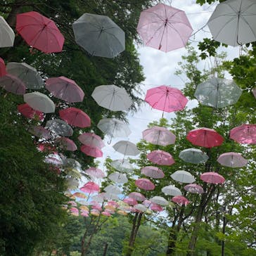 ムーミンバレーパークに投稿された画像（2024/7/3）