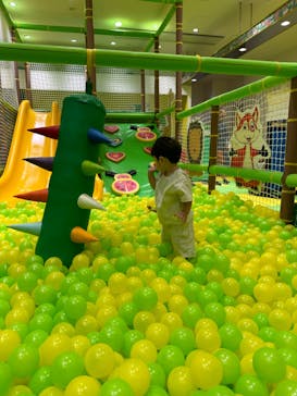 ザキッズ お台場デックス東京ビーチ店に投稿された画像（2024/7/3）