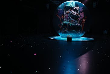 AQUARIUM × ART　atoaに投稿された画像（2024/7/3）