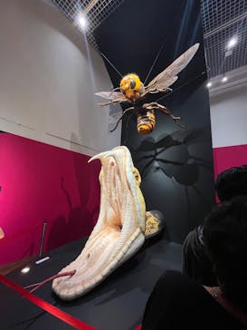 特別展「毒」に投稿された画像（2024/7/3）