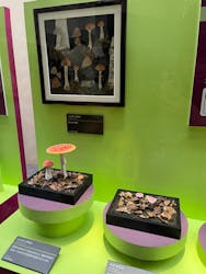 特別展「毒」に投稿された画像（2024/7/3）