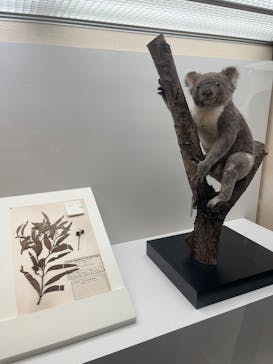 特別展「毒」に投稿された画像（2024/7/3）