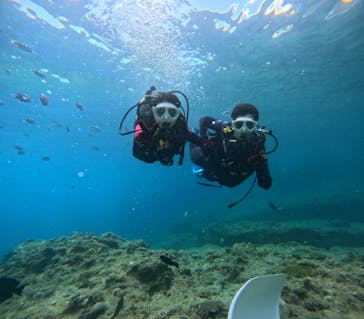 沖縄マリンサービス碧に投稿された画像（2024/7/4）