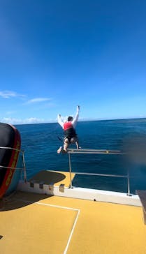 OPG（オーピージー）に投稿された画像（2024/7/4）