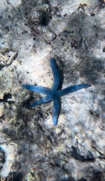 OPG（オーピージー）に投稿された画像（2024/7/4）