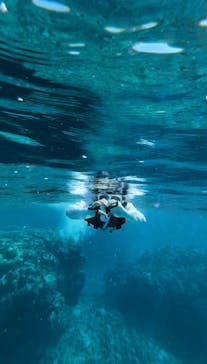 OPG（オーピージー）に投稿された画像（2024/7/4）