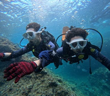 沖縄マリンサービス碧に投稿された画像（2024/7/4）