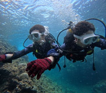 沖縄マリンサービス碧に投稿された画像（2024/7/4）