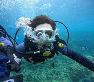 沖縄マリンサービス碧に投稿された画像（2024/7/4）