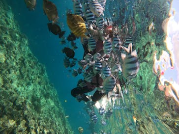 武藤潜水に投稿された画像（2024/7/4）