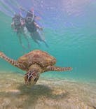 nico 宮古島に投稿された画像（2024/7/4）