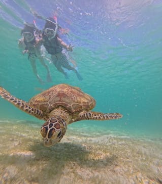 nico 宮古島に投稿された画像（2024/7/4）