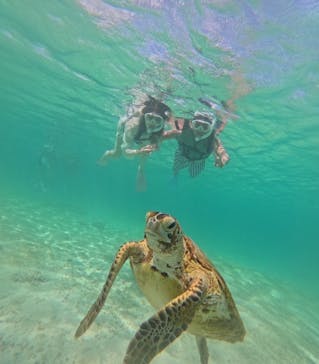 nico 宮古島に投稿された画像（2024/7/4）