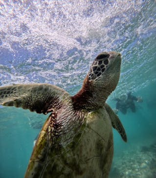 nico 宮古島に投稿された画像（2024/7/4）