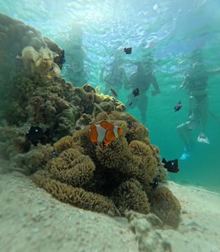 nico 宮古島に投稿された画像（2024/7/4）