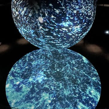 NIFREL（ニフレル）に投稿された画像（2024/7/4）