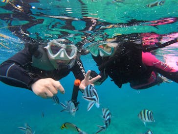 沖縄マリンサービス碧に投稿された画像（2024/7/4）