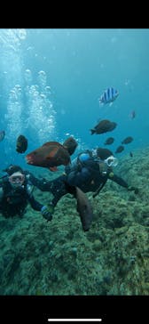 武藤潜水に投稿された画像（2024/7/4）