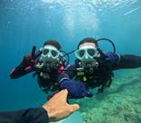 沖縄マリンサービス碧に投稿された画像（2024/7/4）