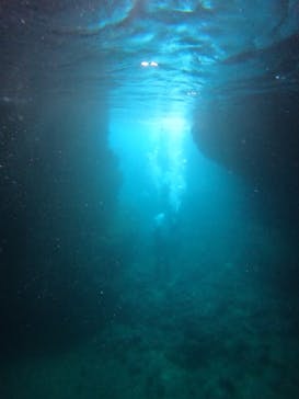 沖縄マリンサービス碧に投稿された画像（2024/7/4）