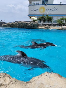 鴨川シーワールドに投稿された画像（2024/7/4）