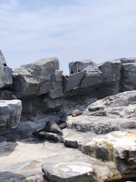 鴨川シーワールドに投稿された画像（2024/7/4）