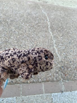 京都水族館に投稿された画像（2024/7/4）