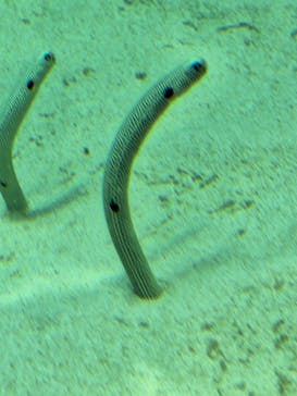 環境水族館アクアマリンふくしまに投稿された画像（2024/7/4）