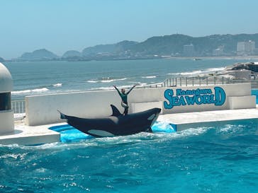 鴨川シーワールドに投稿された画像（2024/7/4）