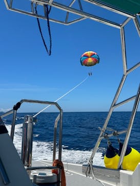 Sea World（シーワールド）に投稿された画像（2024/7/4）