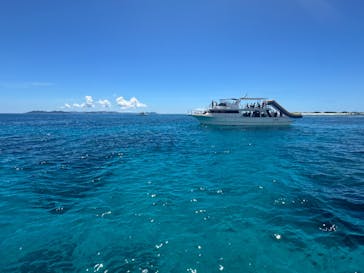 Sea World（シーワールド）に投稿された画像（2024/7/4）