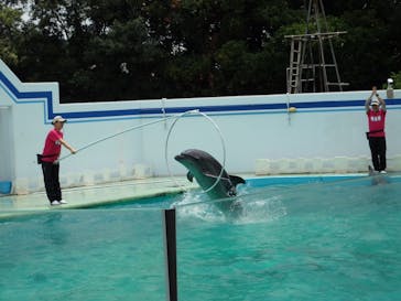 しながわ水族館に投稿された画像（2024/7/4）