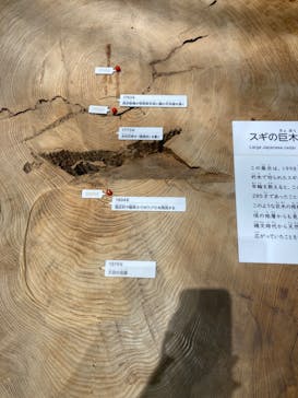 滋賀県立琵琶湖博物館に投稿された画像（2024/7/4）