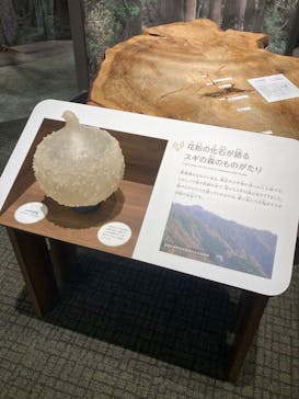 滋賀県立琵琶湖博物館に投稿された画像（2024/7/4）