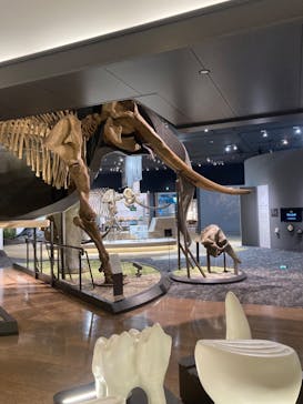 滋賀県立琵琶湖博物館に投稿された画像（2024/7/4）